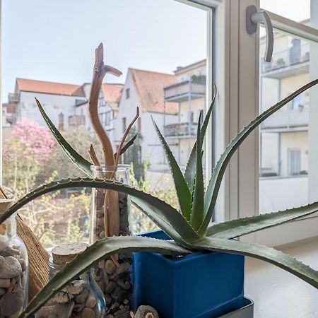 Strelapartment By Meinke Mitten In Der Altstadt Stralsund Exteriér fotografie